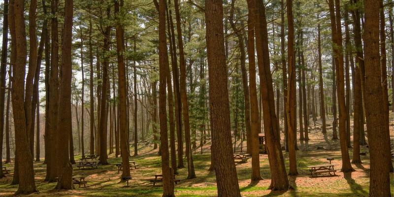 化妆品购买新趋势：解密爱百美产品包装的环保理念与可持续设计