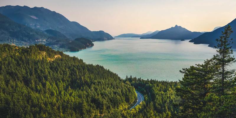 爱百美53：科学护肤新定义，揭秘专业级护肤品的核心力量