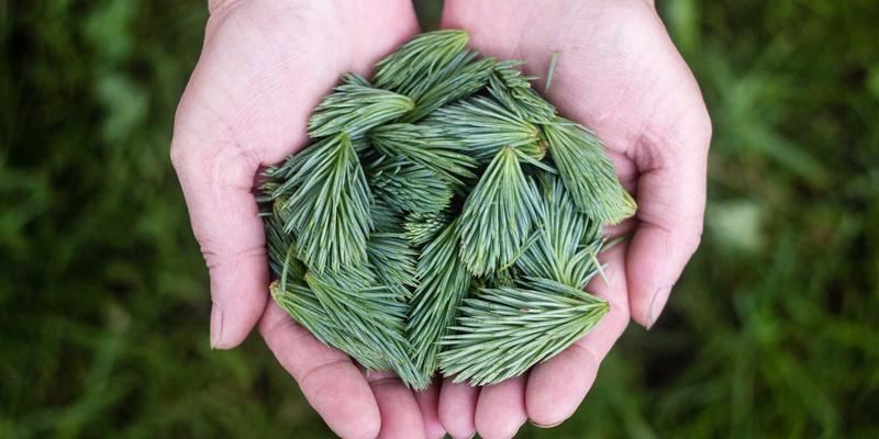 爱百美专研成分解析：独家专利技术如何实现高效护肤与彩妆革新