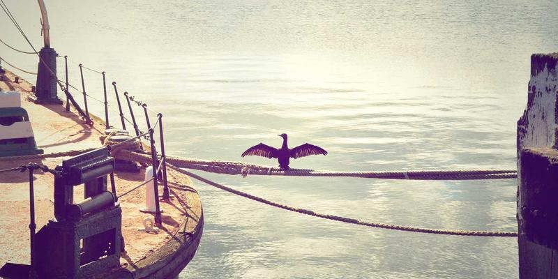 爱百美品质溯源：揭秘从研发实验室到生产线的全链路化妆品品控体系