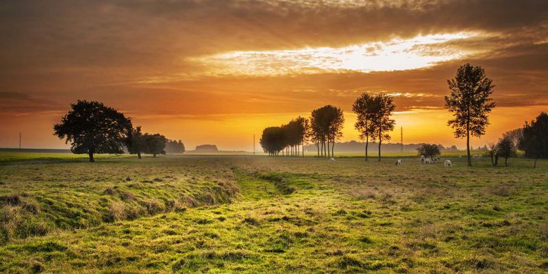 爱百美在中国市场的本土化策略：专研亚洲肌肤的护肤指南