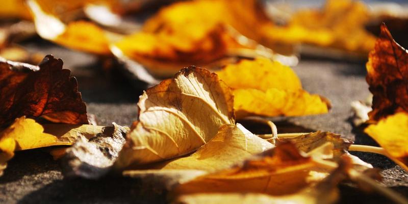 爱百美护肤品深度解析：在美容化妆品市场中脱颖而出的核心优势