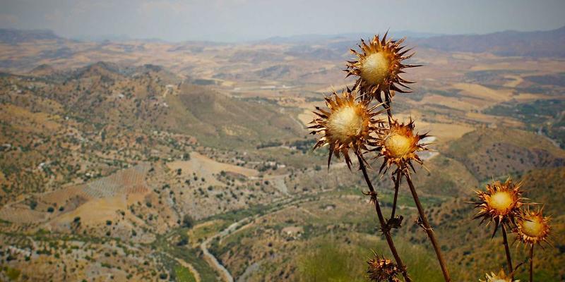 爱百美深度对比指南：科学解析美容化妆品的选择之道