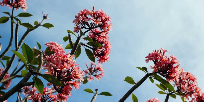 爱百美深度评测：科学护肤与精明购妆的全方位指南