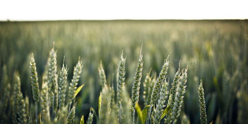 爱百美眼部护理全攻略：科学解决黑眼圈、浮肿与眼周细纹的护肤指南