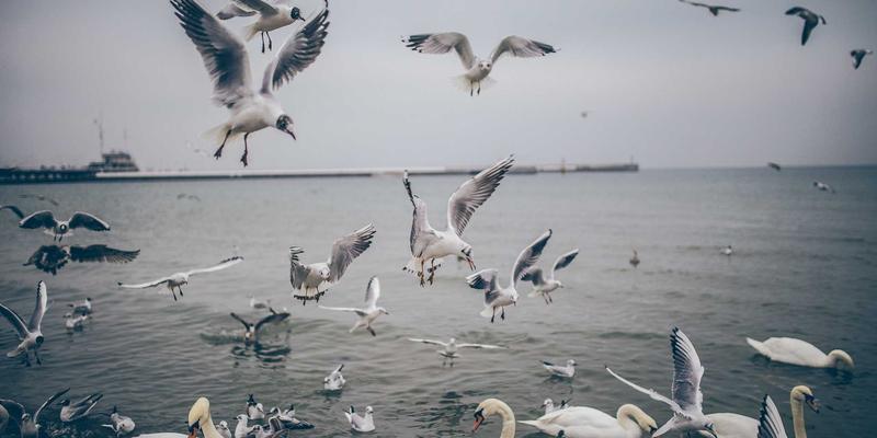 爱百美进阶指南：科学护肤与精准美妆的融合之道