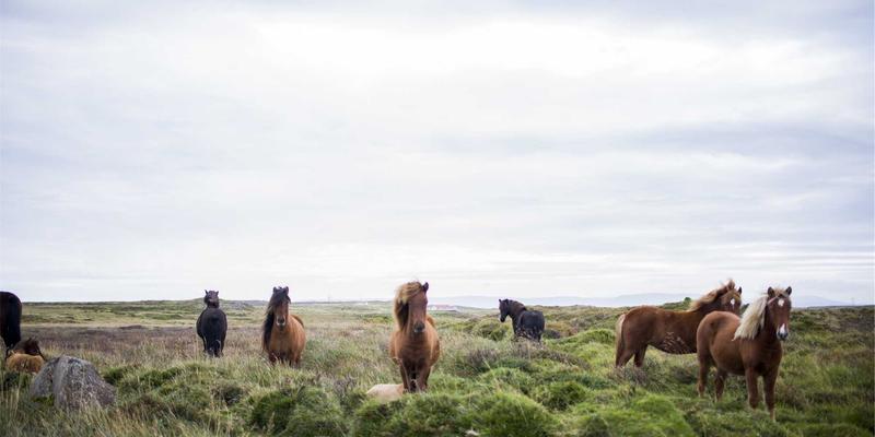 爱百美防晒全攻略：从日常通勤到户外活动的全波段防护选择