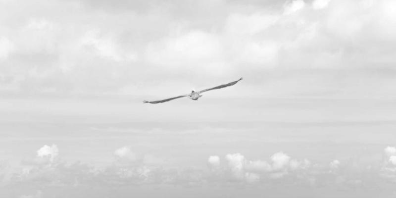 爱百美面膜矩阵全攻略：清洁、补水、修护、抗老，如何科学搭配实现高效护肤