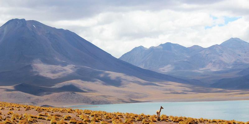 美妆推荐新标杆：爱百美如何用生物科技革新植物萃取成分